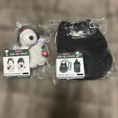 郵便局限定 スヌーピー ぬいぐるみキーホルダー & ショルダーポシェット
