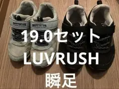 スニーカー　靴　セット　ムーンスター　LUVRUSH 瞬足　19.0
