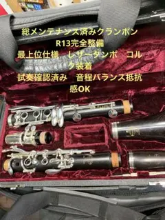 2026年最新】ビュッフェクランポン r13の人気アイテム - メルカリ