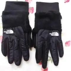 ノースフェイス エメレオンドレ イーチップグローブ コラボ グローブ
