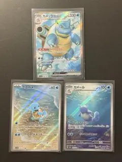 ゼニガメセット