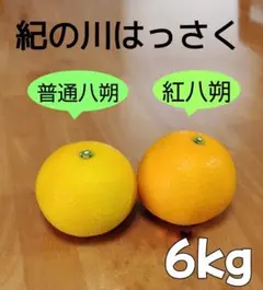 和歌山県産八朔紅八朔食べ比べセット