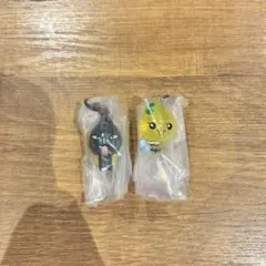 しずくちゃん めじるしアクセサリー ガチャ ハニーちゃん　どろろん