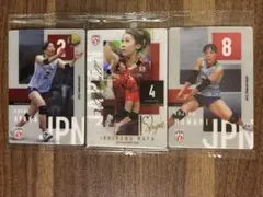 バレーボール女子日本代表ツインウエハース2026 レア石川,荒木,小島選手