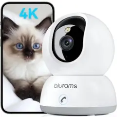 Item thumbnail for item 0790a1ad-a345-4709-9ab0-c50b5f07418e