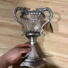 ハリポッター　Triwizard cup