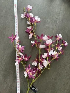 オンシジウム　造花(花の部分のみ)のサムネイル