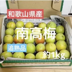 【訳あり】和歌山県産 南高梅 追熟品 キズあり 約1kgのサムネイル