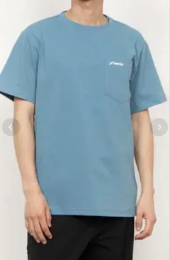 phenix フェニックス ポケットTシャツ ブルー XL