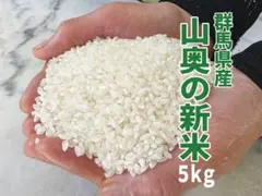 魚沼産コシヒカリ白米5kg〙 令和7年産 湧き水栽培白倉米 - メルカリ