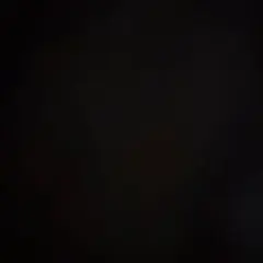 返品専用