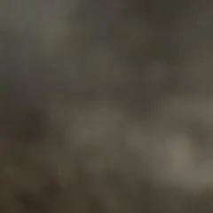 専用