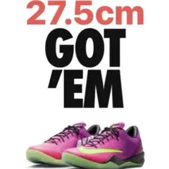 27.5cm Nike Kobe 8 Protro Mambacurial