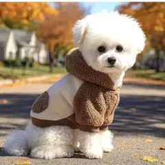 Item thumbnail for item d1418652-f1fa-4d12-aef5-c41fcf8795d6