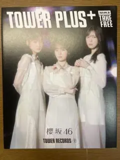 欅坂46 櫻坂46 フライヤー チラシ まとめ売り