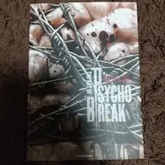 【専用】The Art of Psycho Break サイコブレイク 画集 専用】The Art of Psycho Break サイコブレイク 画集 Amazon.co