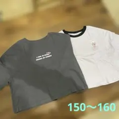 ＊エスターバニー　クロップド丈Tシャツ2枚セット＊