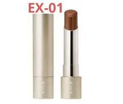 【ケース付き】RMK ベルベットシーン リップカラー EX-01