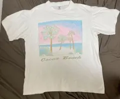 90'sUSA製 CHESヴィンテージ シングルステッチ Tシャツ X