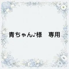 青ちゃん♪様　専用