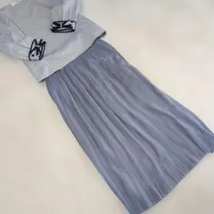 2way ナノ・ユニバースプリーツロングスカートMサイズ