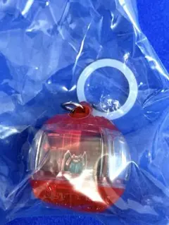 仮面ライダー めじるしアクセサリー3 インパクトカプセム