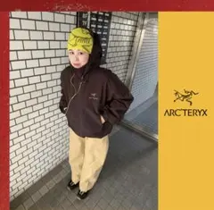 希少新品 田中シェン着用 Arc'teryx Beta AR L bitters - メルカリ