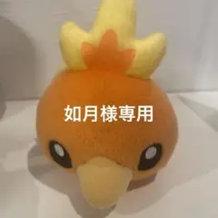 如月様専用ページ(アチャモ)