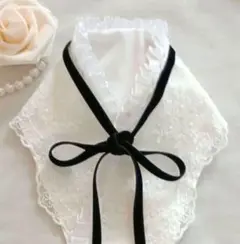 Item thumbnail for item a19f14ff-e202-4047-9a43-5052b327ce8e