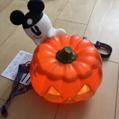 東京ディズニーリゾート ハロウィン ポップコーンバケット