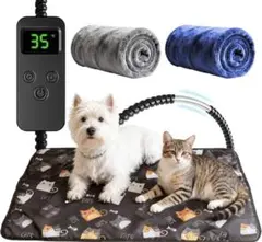 Item thumbnail for item cbbed463-c6cf-4e8c-be17-62276be05b11