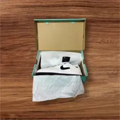 NIKE　SB　アリウープ　29cm