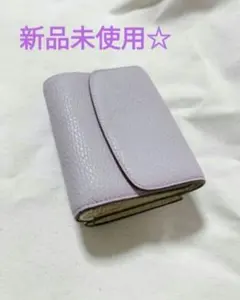 未使用】ブレイリオ システム手帳 モルビド ミニ 5 11mm イブリット