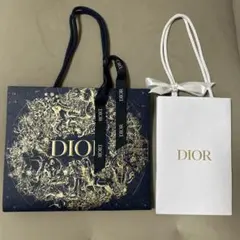 Dior ショップ袋 大小セット