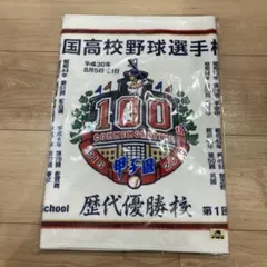 高校野球 甲子園 第100回記念タオル大