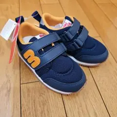 Item thumbnail for item 2f4abe56-224e-461e-a7c9-0b4346c66481