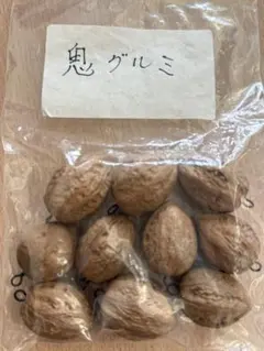 鬼グルミ　胡桃　くるみ　キーホルダー　10個