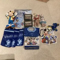 東京ディズニーリゾート バケーションパッケージセットとおまけ
