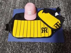 阪神タイガース ミニカバン 小さいヘルメット まとめ売りのサムネイル