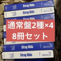 Stray Kids スキズ　KARMA 通常盤 新品未開封　10個セット