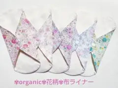 Item thumbnail for item 5567a3a1-ceb5-41f0-a77b-c56762d5d61b