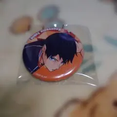 ハイキューカンバッジコレクション