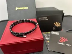 Item thumbnail for item c9dcc5c8-ef04-425e-be0f-5acc3eaac87d