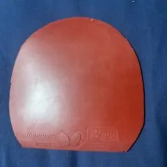 ディグニクス80赤特厚