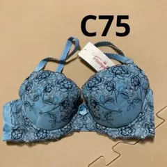 ブラジャー c75