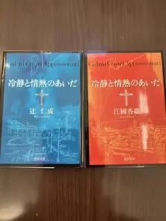 冷静と情熱のあいだ 辻仁成 江國香織 2冊セット
