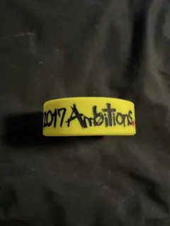 ONE OK ROCK Ambitions 2017 ラバーバンド