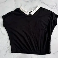 ✨大人気✨23年モデル ミズイロインド 白襟カットソー シャツ フリーサイズ黒