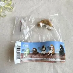 ガチャガチャ 釣り日和 シバイヌ 柴犬