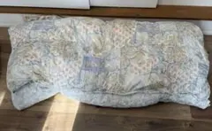 ExcelHuman 羽毛掛ふとん シングル 古都の華 パート5